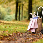 Ein Weidenwagen mit Rädern steht auf einem mit Laub bedeckten Parkweg. Darin befinden sich ein Plüschhase und eine kuschelige KraftKids Babydecke Doppelkrepp Rosa. Bäume mit leuchtenden Herbstblättern bilden einen warmen, farbenfrohen Hintergrund.